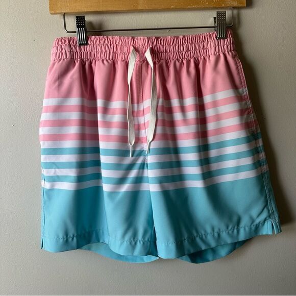 Chubbies Swim Trunks Mens Size S On The Horizons 5.5 in Stretch Lined Pocket - Picture 3 of 14